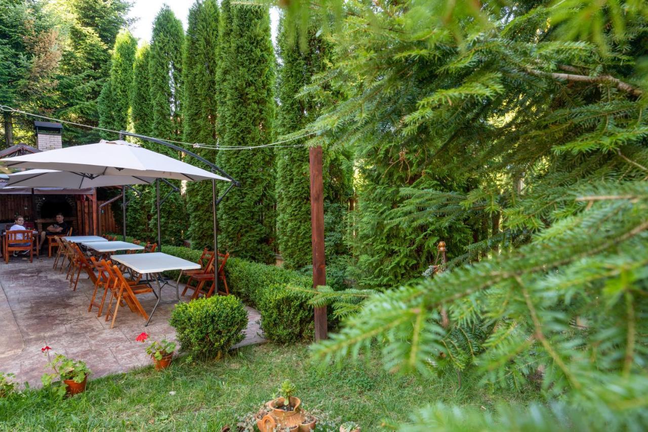 Pensiunea Constanta 3* Predeal